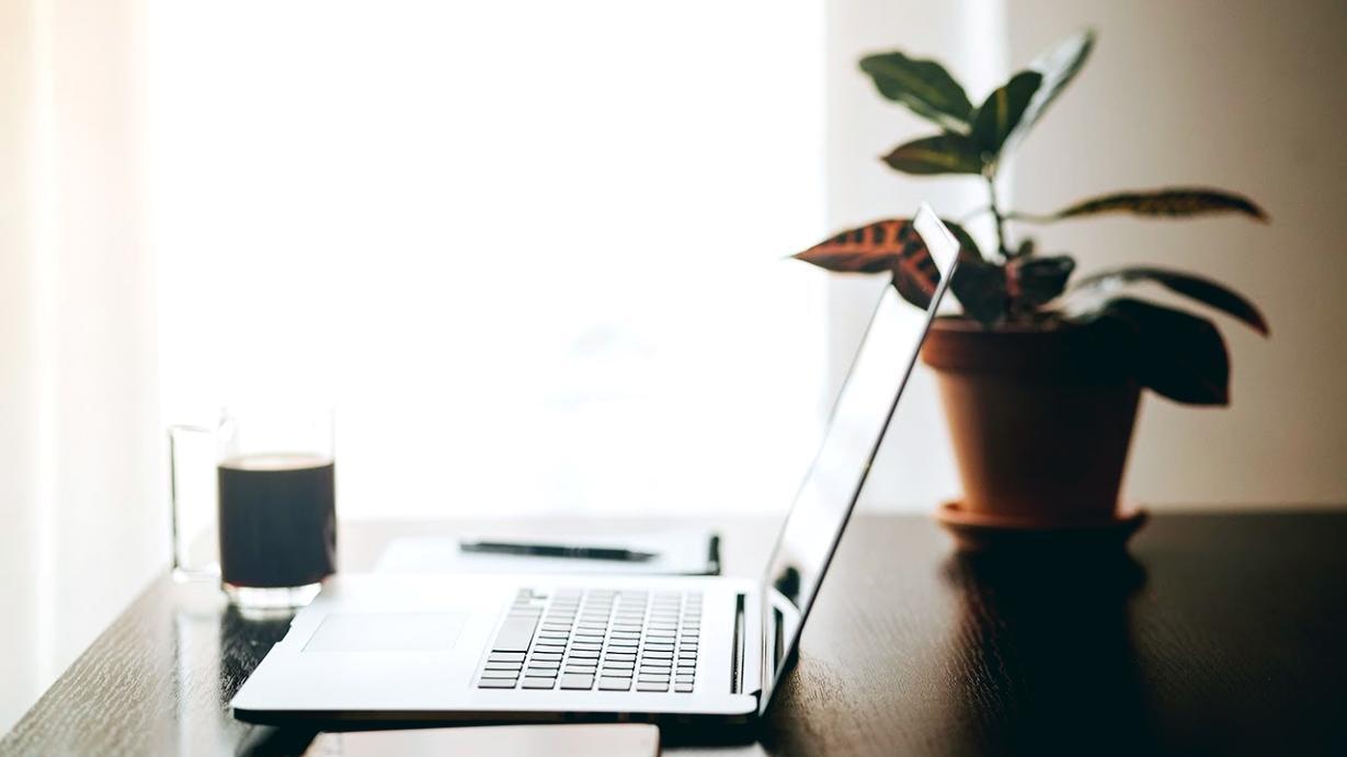 Business Content Writing